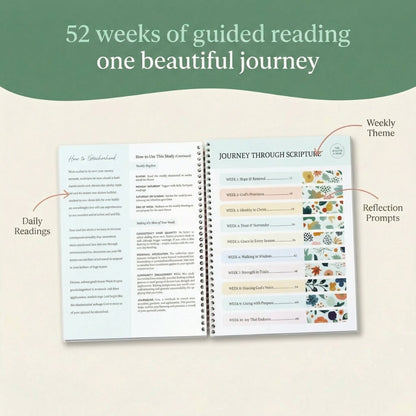 Bible In A Year: 52-Week Study