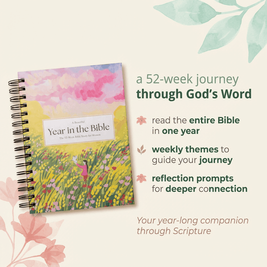 A Blessed Year in the Bible Study